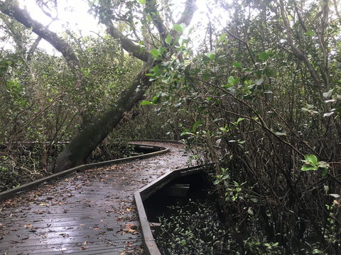 Carole Green Walkway - John Oxley Reserve - Accommodation Port Hedland 0