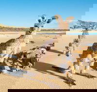Diamond Head Beach - Accommodation Port Hedland