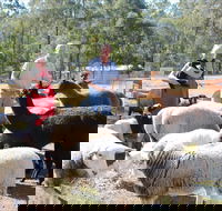Haigslea EWE Nique Hobby Farm - Accommodation Port Hedland