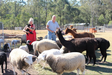Haigslea EWE Nique Hobby Farm - Accommodation Port Hedland 0