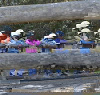 Harlow Park Horse Riding - Accommodation Port Hedland
