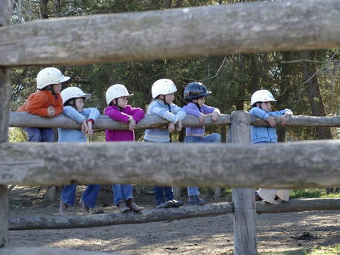 Harlow Park Horse Riding - Accommodation Port Hedland 0