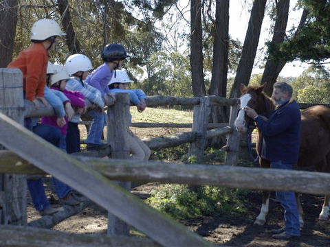 Harlow Park Horse Riding - Accommodation Port Hedland 2