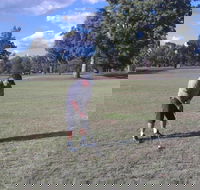 Inverell Golf Club - Accommodation Port Hedland