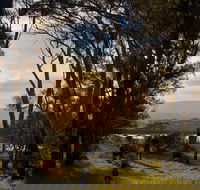 Jetty Farm - Accommodation Port Hedland