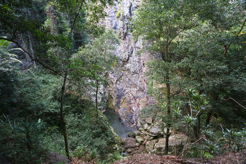 Kondalilla Falls Circuit, Kondalilla National Park - Accommodation Port Hedland 0