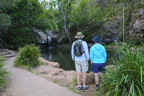 Kondalilla Falls Circuit, Kondalilla National Park - Accommodation Port Hedland 1