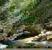 Maleny - Accommodation Port Hedland