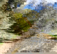 Naracoorte North Nature Park - Accommodation Port Hedland