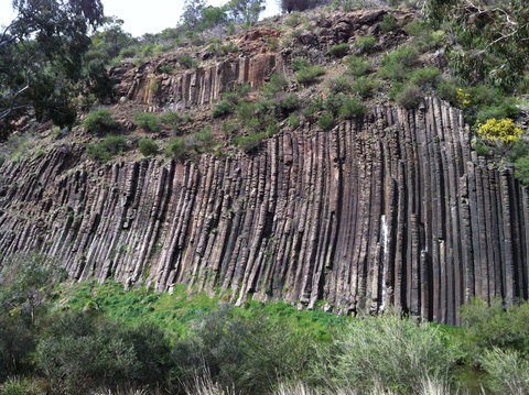 Organ Pipes National Park - Accommodation Port Hedland 1
