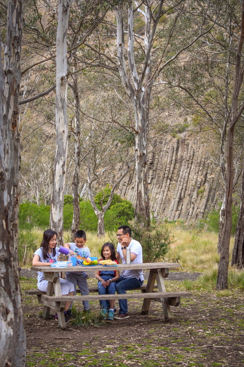 Organ Pipes National Park - Accommodation Port Hedland 2