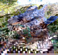 Perth Zoo - Accommodation Port Hedland