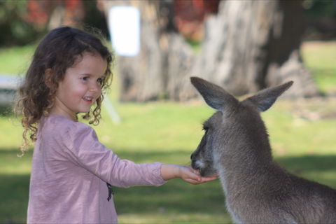 Potoroo Palace Native Animal Sanctuary - Accommodation Port Hedland 1