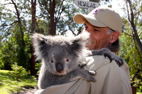 Potoroo Palace Native Animal Sanctuary - Accommodation Port Hedland 2