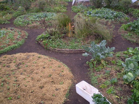 Purple Pear Farm - Accommodation Port Hedland 1