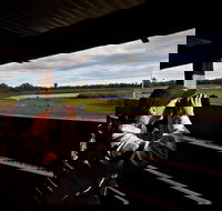 Reed Beds Bird Hide Boardwalk - Accommodation Port Hedland