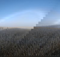 Sutton - Accommodation Port Hedland