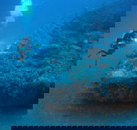 The Zanoni Wreck - Accommodation Port Hedland