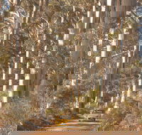 The Great Forest Trees Drive - Accommodation Port Hedland