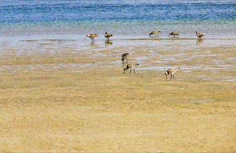 Towra Beach - Accommodation Port Hedland 0