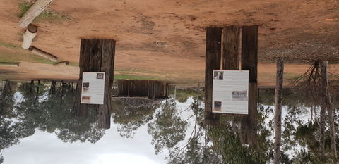 True Blue Poppet Head - Cooinda Park - Accommodation Port Hedland 1