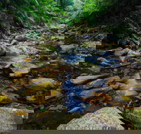 Willi Willi National Park - Accommodation Port Hedland