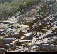 Adelong Falls Gold Mill Ruins - Accommodation Port Hedland
