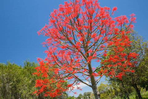 Ashby - Accommodation Port Hedland 1