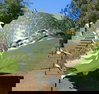 Big Murray Cod - Accommodation Port Hedland