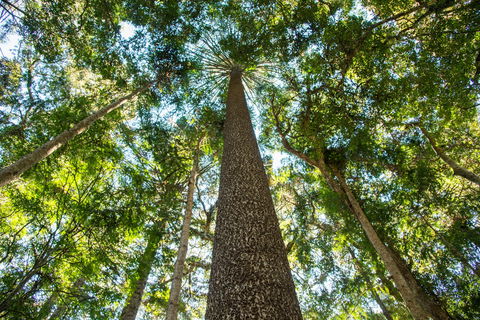 Big Sky National Parks - Accommodation Port Hedland 0