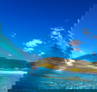 Blueys Beach Pacific Palms - Accommodation Port Hedland