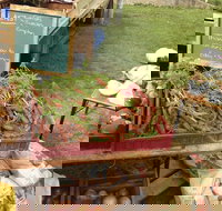 Burnie Farmers Market - Accommodation Port Hedland