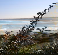 Cape Conran Coastal Park - Accommodation Port Hedland