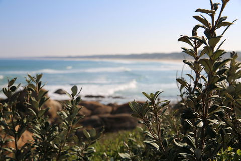Cape Conran Coastal Park - Accommodation Port Hedland 0
