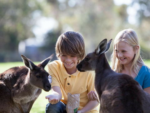 Cleland Wildlife Park - Accommodation Port Hedland 1
