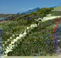 Conjola Beach Picnic Area - Accommodation Port Hedland