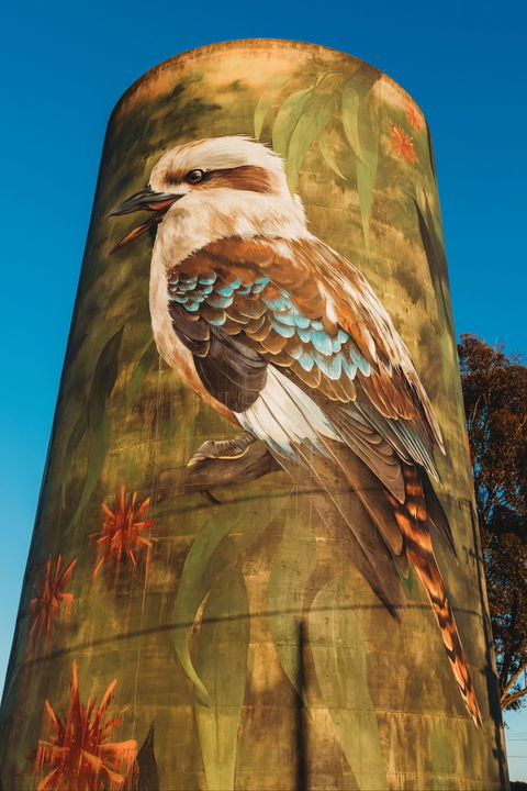 Deniliquin Water Tower Mural - Accommodation Port Hedland 0