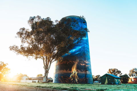 Deniliquin Water Tower Mural - Accommodation Port Hedland 1