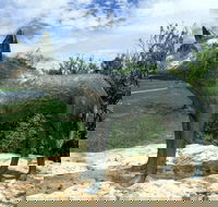 Dingo Statue - Accommodation Port Hedland