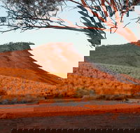 Dutchman Stern Conservation Park Trail - Accommodation Port Hedland