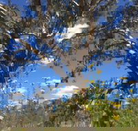 Euroa Arboretum - Accommodation Port Hedland