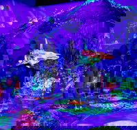 Glowing Rooms 3D Mini Golf - Accommodation Port Hedland