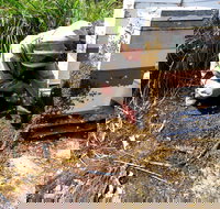 Honey Tasmania - The Beehive - Accommodation Port Hedland