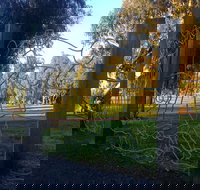 Mansfield Botanic Park - Accommodation Port Hedland