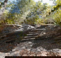 Mooney Mooney nature walk - Accommodation Port Hedland