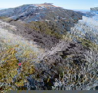 Mt Buller Bike Park - Accommodation Port Hedland