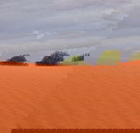 Munga-Thirri - Simpson Desert Conservation Park and Regional Reserve - Accommodation Port Hedland