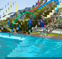 Oaklands War Memorial Swimming Pool - Accommodation Port Hedland