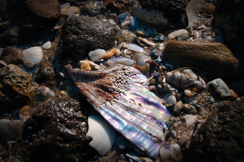 Point Cook Marine Sanctuary - Accommodation Port Hedland 1