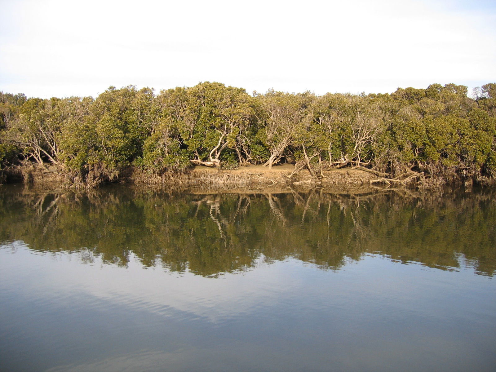 Mundoora SA Accommodation Port Hedland